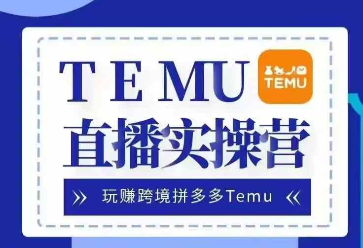 Temu直播实战营，玩赚跨境拼多多Temu，国内电商卷就出海赚美金-晓有财道